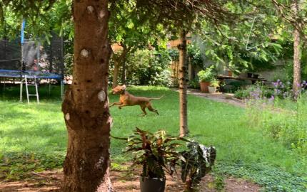 Na Prenájom 3-izbového bytu – Grosslingova, centrum Bratislavy