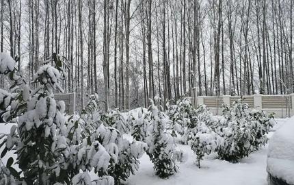 Na predaj moderný 4-izbový rodinný dom – Florida Villa Park, Dunajská Streda