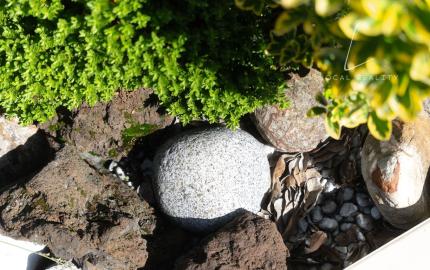 Nadštandartný 4 izbový Rodinný Dom v srdci Malého Raja, Slovenský Grob 