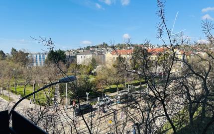 Slnečný 2izbový byt na prenájom