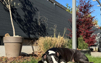 Moderný rodinný dom v Bernolákove| zariadený, klimatizovaný