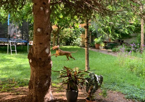 Na Prenájom 3-izbového bytu – Grosslingova, centrum Bratislavy