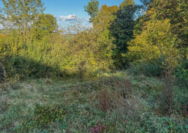 Na Predaj rekreačný pozemok Polníky , Dolná Súča 