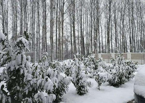 Na predaj moderný 4-izbový rodinný dom – Florida Villa Park, Dunajská Streda