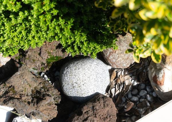 Nadštandartný 4 izbový Rodinný Dom v srdci Malého Raja, Slovenský Grob 