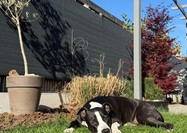 Moderný rodinný dom v Bernolákove| zariadený, klimatizovaný