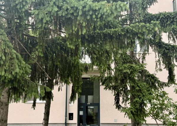 Prenajom garsonky po rekonštrukcii v Ružinove