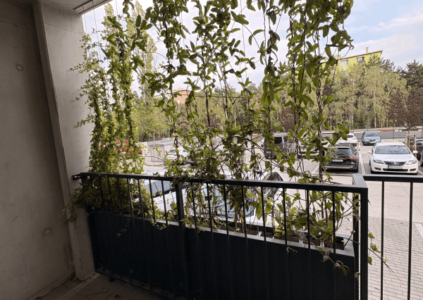 PREDAJ | Nový 1-izbový apartmán s terasou v projekte VERDENA