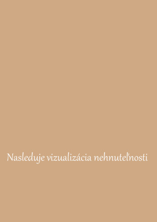 NA PREDAJ BEZBARIEROVÝ 3 IZBOVÝ BYT V BRATISLAVE-RUŽINOV - fotografia 16