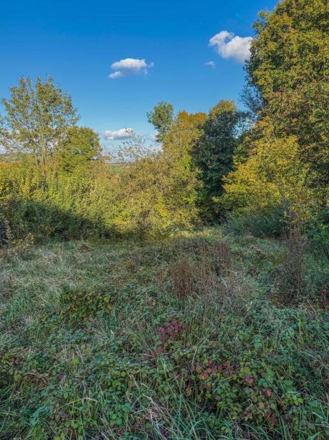 Na Predaj rekreačný pozemok Polníky , Dolná Súča 